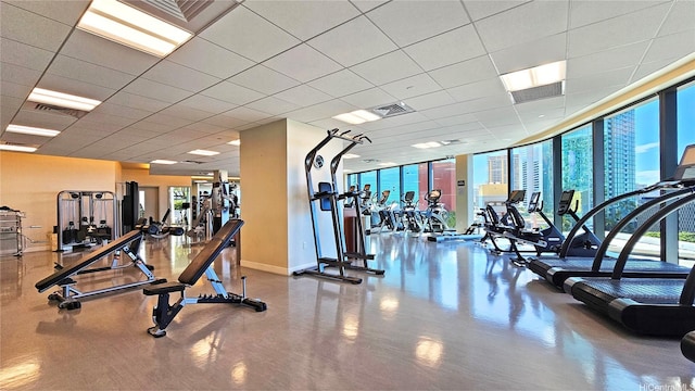 1108 Auahi St Unit 3201, Honolulu, HI 96814 - gym with expansive windows and a drop ceiling