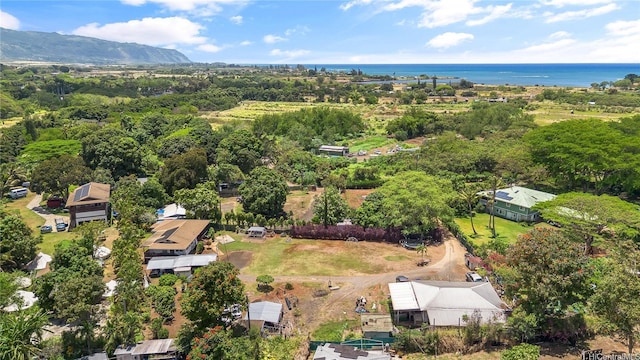 66-342-A Aukai Ln Unit 2, Haleiwa, HI 96712 - drone / aerial view of a large body of water