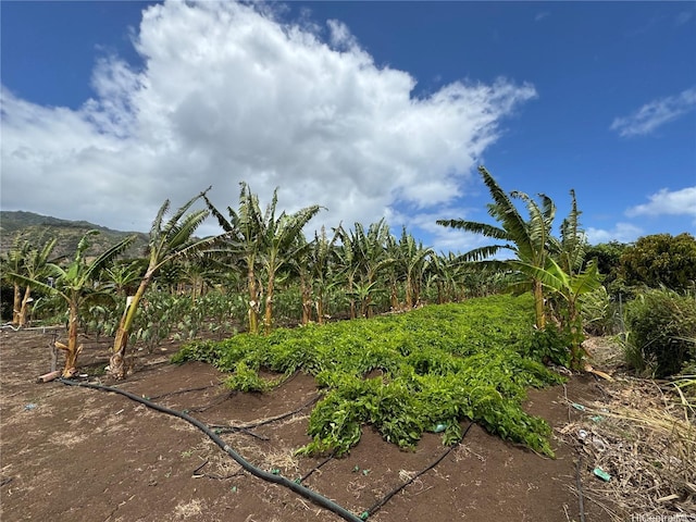 68-670 Farrington Hwy Unit 10, Waialua, HI 96791