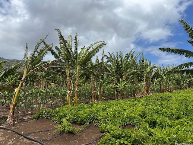 68-670 Farrington Hwy Unit 10, Waialua, HI 96791