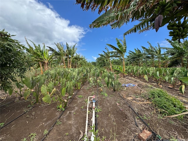 68-670 Farrington Hwy Unit 10, Waialua, HI 96791