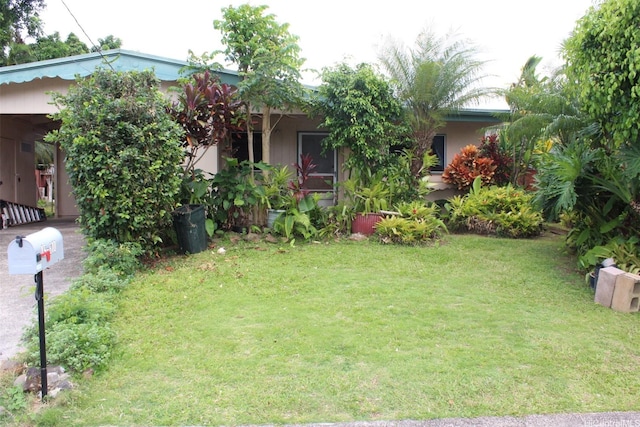 45-610 Kipawale Pl, Kaneohe, HI 96744 - view of grassy yard