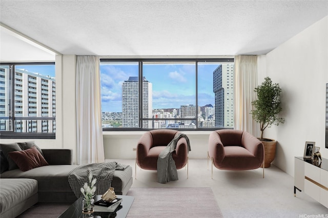 430 Lewers St Unit 2502, Honolulu, HI 96815 - carpeted living room featuring a city view, plenty of natural light, and a textured ceiling