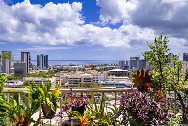 666 Prospect St Unit I502, Honolulu, HI 96813 - view of city