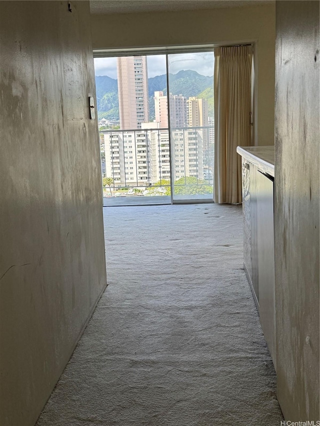 2115 Ala Wai Blvd Unit 1205, Honolulu, HI 96815 - corridor featuring carpet flooring, a mountain view, and a city view