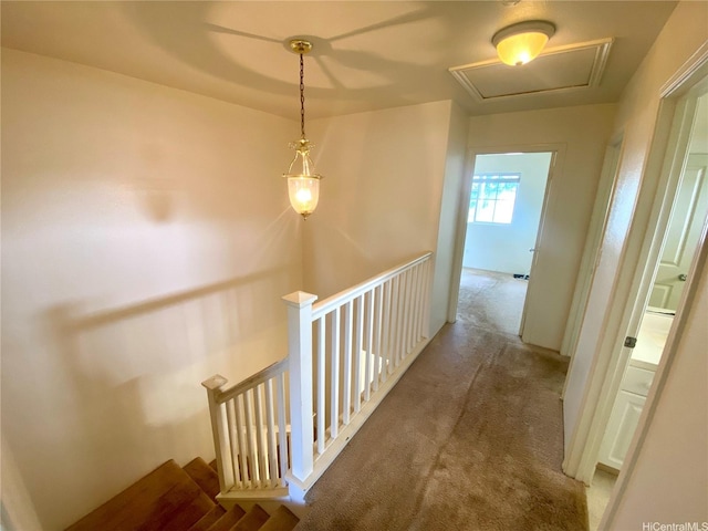 91-1008 Kaiopua St Unit M2, Ewa Beach, HI 96706 - hallway featuring an upstairs landing, carpet floors, and attic access