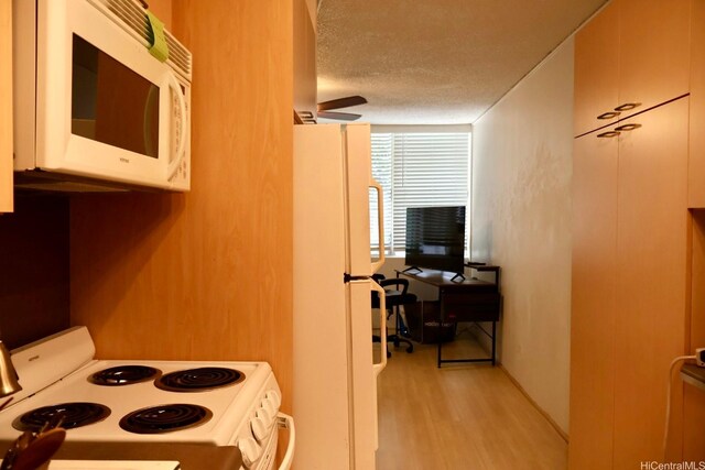 2442 Tusitala St Unit 119, Honolulu, HI 96815 - photo 3