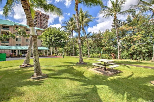 3009 Ala Makahala Pl Unit 214, Honolulu, HI 96818 - surrounding community with a yard