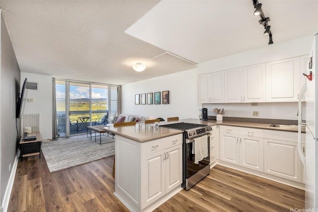 3045 Ala Napuaa Pl Unit 1803, Honolulu, HI 96818 - kitchen featuring stainless steel electric range, open floor plan, a peninsula, dark wood-style flooring, and expansive windows