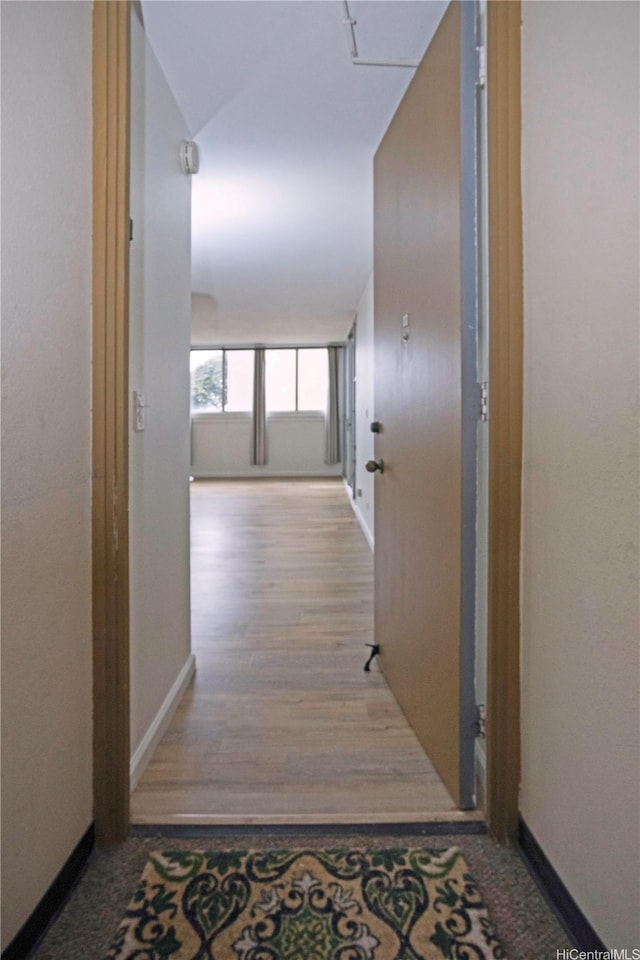 1617 Clark St Unit 404, Honolulu, HI 96822 - hall with baseboards and wood finished floors