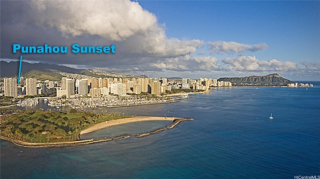 1617 Clark St Unit 404, Honolulu, HI 96822 - water view featuring nearby urban area