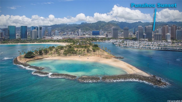 1617 Clark St Unit 404, Honolulu, HI 96822 - drone / aerial view of skyline and a water and mountain view