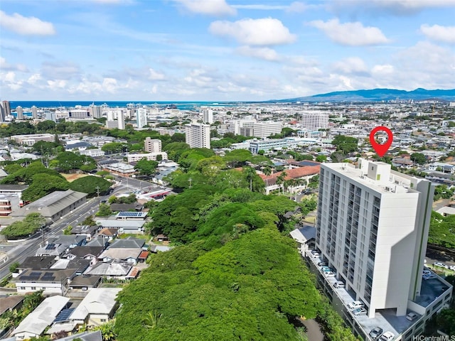 2029 Nuuanu Ave Unit 1608, Honolulu, HI 96817 - photo 21