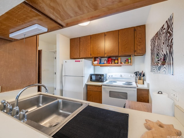 1242 Matlock Ave Unit 204, Honolulu, HI 96814 - photo 8