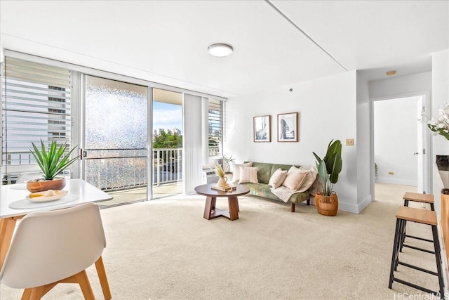 2522 Date St Unit 304, Honolulu, HI 96826 - living area featuring carpet