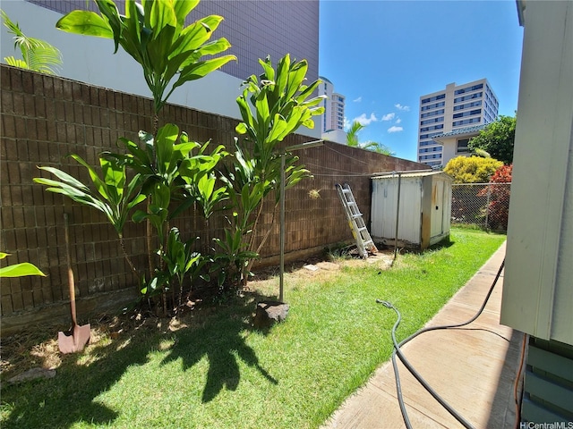 2317 Lime St, Honolulu, HI 96826 - view of yard
