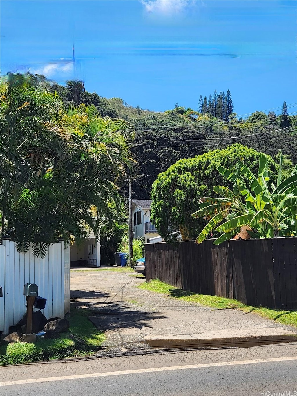 59-610 Kamehameha Hwy Unit A, Haleiwa, HI 96712 - view of yard with driveway