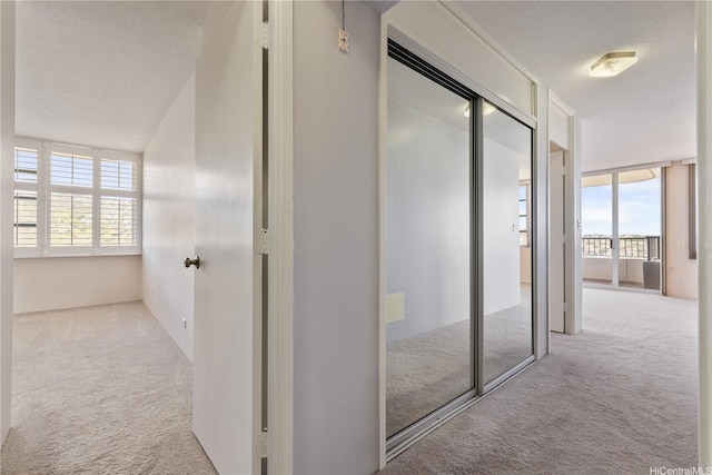 2825 S King St Unit 2403, Honolulu, HI 96826 - hall featuring carpet and plenty of natural light