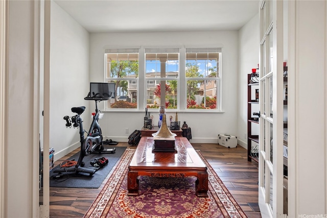 91-1108 Kaihohonu St, Ewa Beach, HI 96706 - workout room featuring hardwood / wood-style floors and healthy amount of natural light