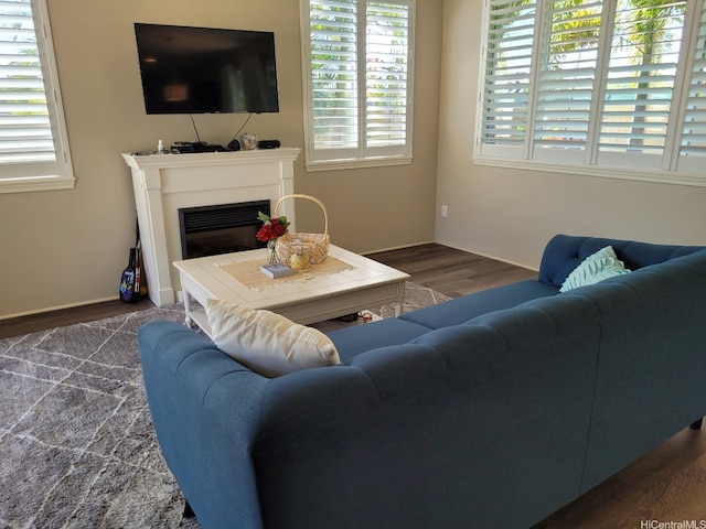 91-504 Kakaha St, Ewa Beach, HI 96706 - living room with wood finished floors and a glass covered fireplace