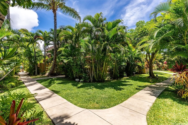 444 Lunalilo Home Rd Unit 602, Honolulu, HI 96825 - view of home's community featuring a yard