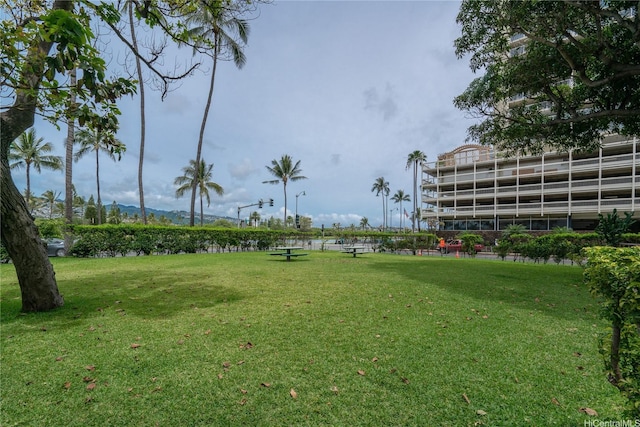 440 Seaside Ave Unit 903, Honolulu, HI 96815 - photo 21