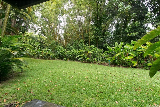 46-359 Haiku Rd Unit C10, Kaneohe, HI 96744 - view of grassy yard