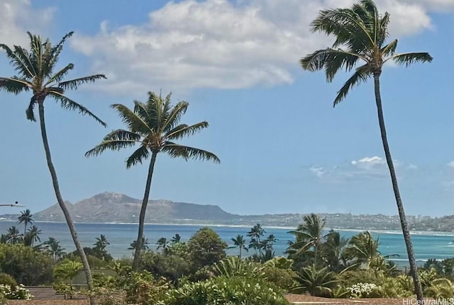 101 Nawiliwili St, Honolulu, HI 96825 - photo 23