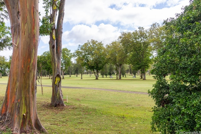 95-142 Kuahelani Ave Unit 251, Mililani, HI 96789 - view of grassy yard