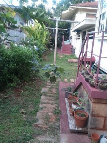 718 10th Ave, Honolulu, HI 96816 - view of yard