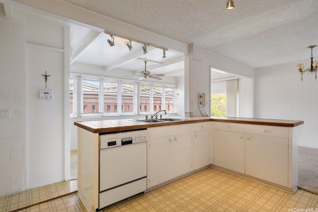 4722 Likini St, Honolulu, HI 96818 - kitchen with dishwasher, a peninsula, light floors, rail lighting, and a textured ceiling