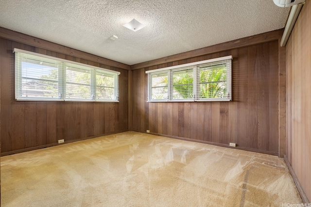 4722 Likini St, Honolulu, HI 96818 - carpeted empty room with wood walls and a textured ceiling