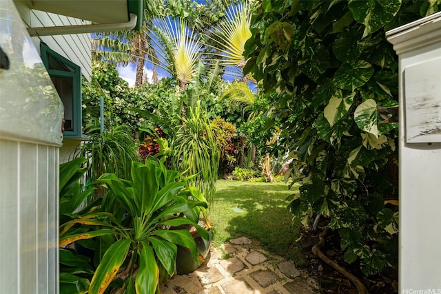 2633B Nahaku Pl Unit H, Honolulu, HI 96826 - view of green lawn
