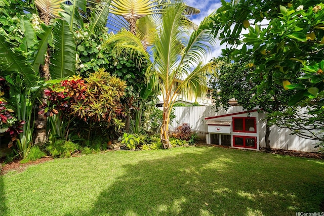 2633B Nahaku Pl Unit H, Honolulu, HI 96826 - view of yard