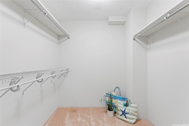 1525 Wilder Ave Unit 401, Honolulu, HI 96822 - walk in closet featuring carpet floors