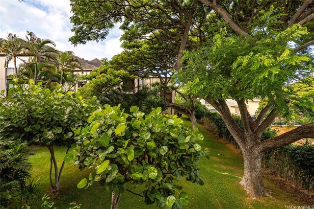 3721 Kanaina Ave Unit 201, Honolulu, HI 96815 - view of grassy yard