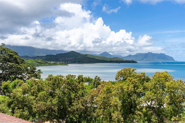 46-109 Konohiki St Unit 3934, Kaneohe, HI 96744 - water view featuring mountains