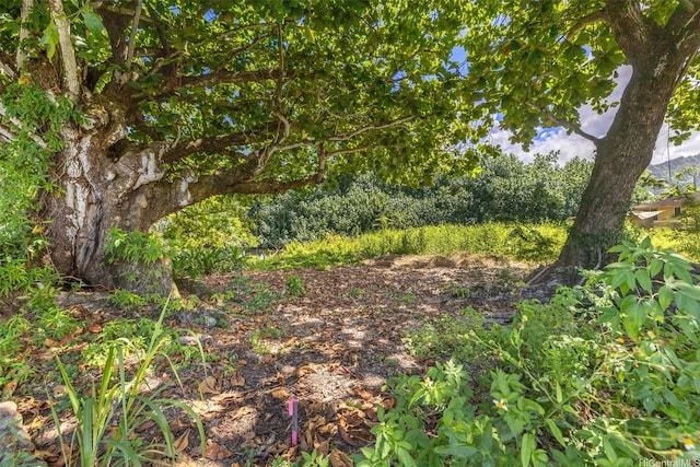 53-032 Pokiwai Pl, Hauula, HI 96717