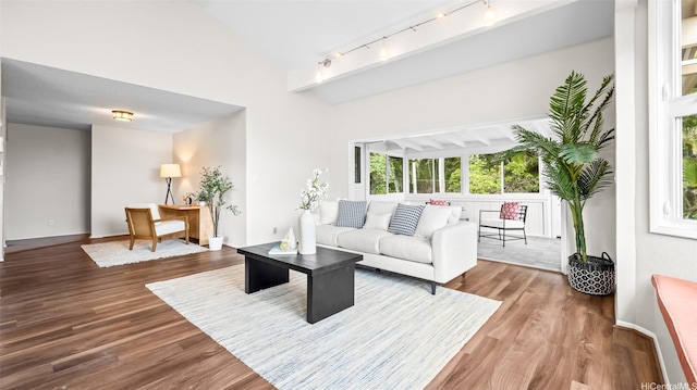 1373 Kaeleku St, Honolulu, HI 96825 - living room with rail lighting, wood finished floors, and high vaulted ceiling