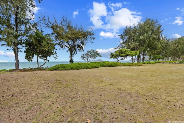 41-867 Laumilo St, Waimanalo, HI 96795 - photo 6