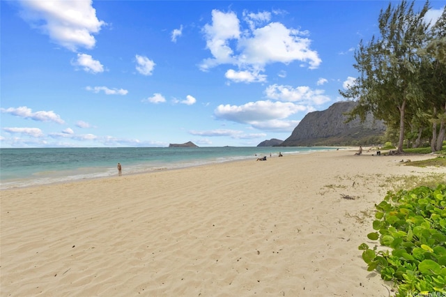 41-867 Laumilo St, Waimanalo, HI 96795 - photo 9