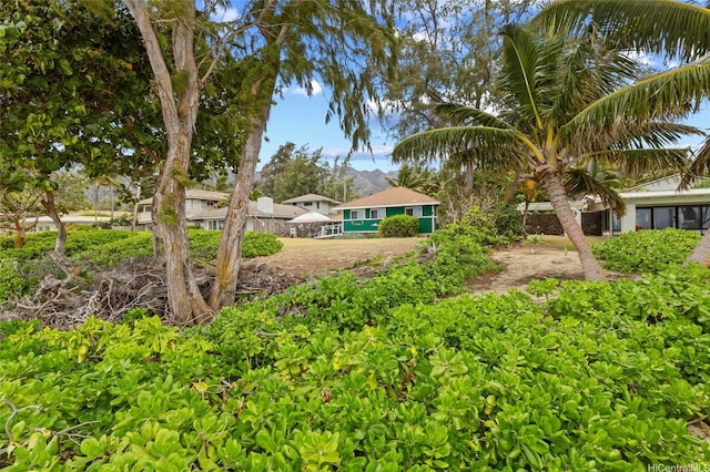 41-867 Laumilo St, Waimanalo, HI 96795 - photo 14