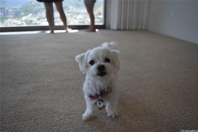 1200 Queen Emma St Unit 3511, Honolulu, HI 96813 - detailed view of carpet flooring and a game area