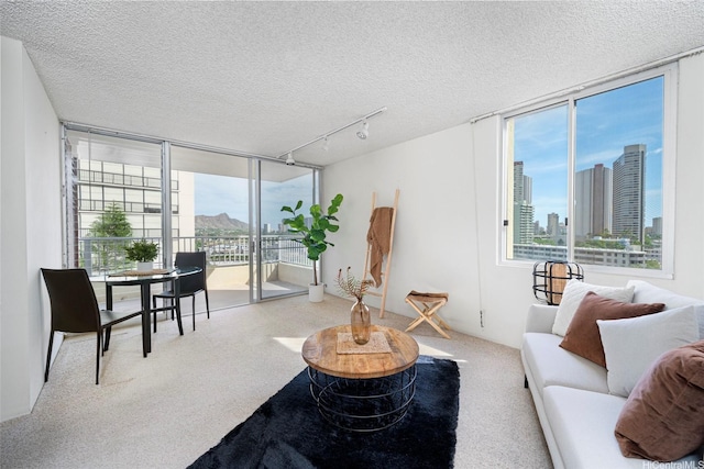 2740 Kuilei St Unit 803, Honolulu, HI 96826 - carpeted living area with plenty of natural light, a textured ceiling, floor to ceiling windows, rail lighting, and a view of city