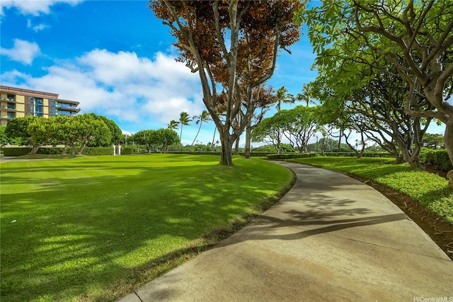 1350 Ala Moana Blvd Unit 2303, Honolulu, HI 96814 - photo 19