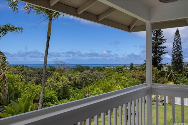 46-259 Kalali St, Kaneohe, HI 96744 - photo 20