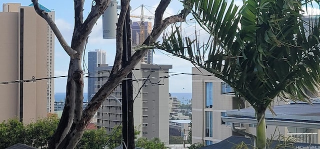 1516 Ward Ave Unit 207, Honolulu, HI 96822 - detailed view of a view of city