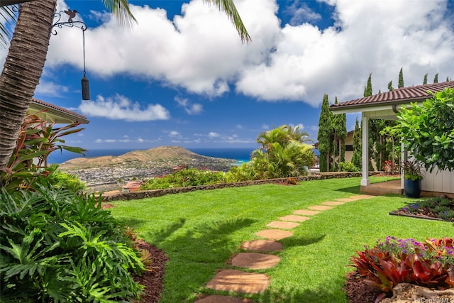 1034 Kaumoku St, Honolulu, HI 96825 - view of grassy yard