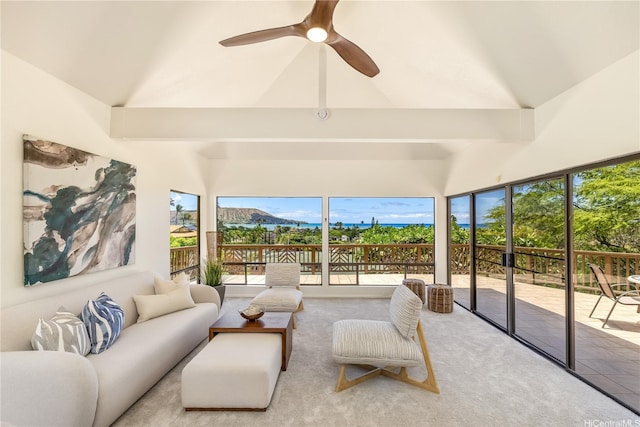 5926 Kalanianaole Hwy, Honolulu, HI 96821 - sunroom with healthy amount of natural light, high vaulted ceiling, and carpet