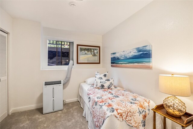 5926 Kalanianaole Hwy, Honolulu, HI 96821 - bedroom with carpet and a closet